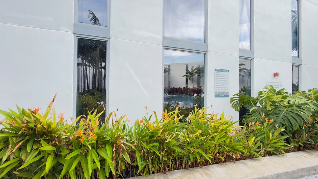 VOX Miami white facade and tropical landscaping
