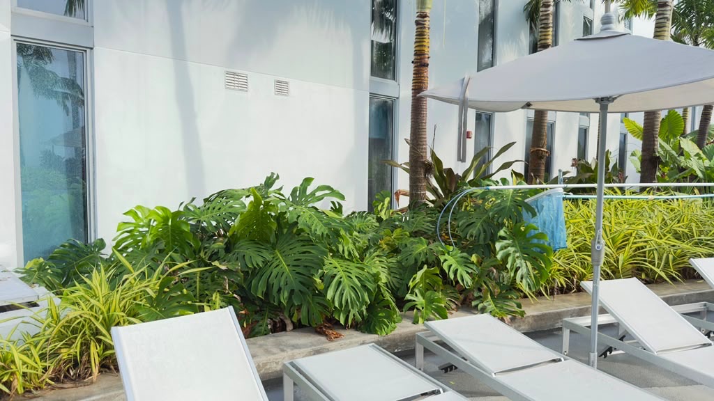 VOX Miami landscaped amenity area